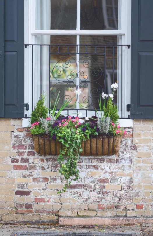 Window Flowerbox
